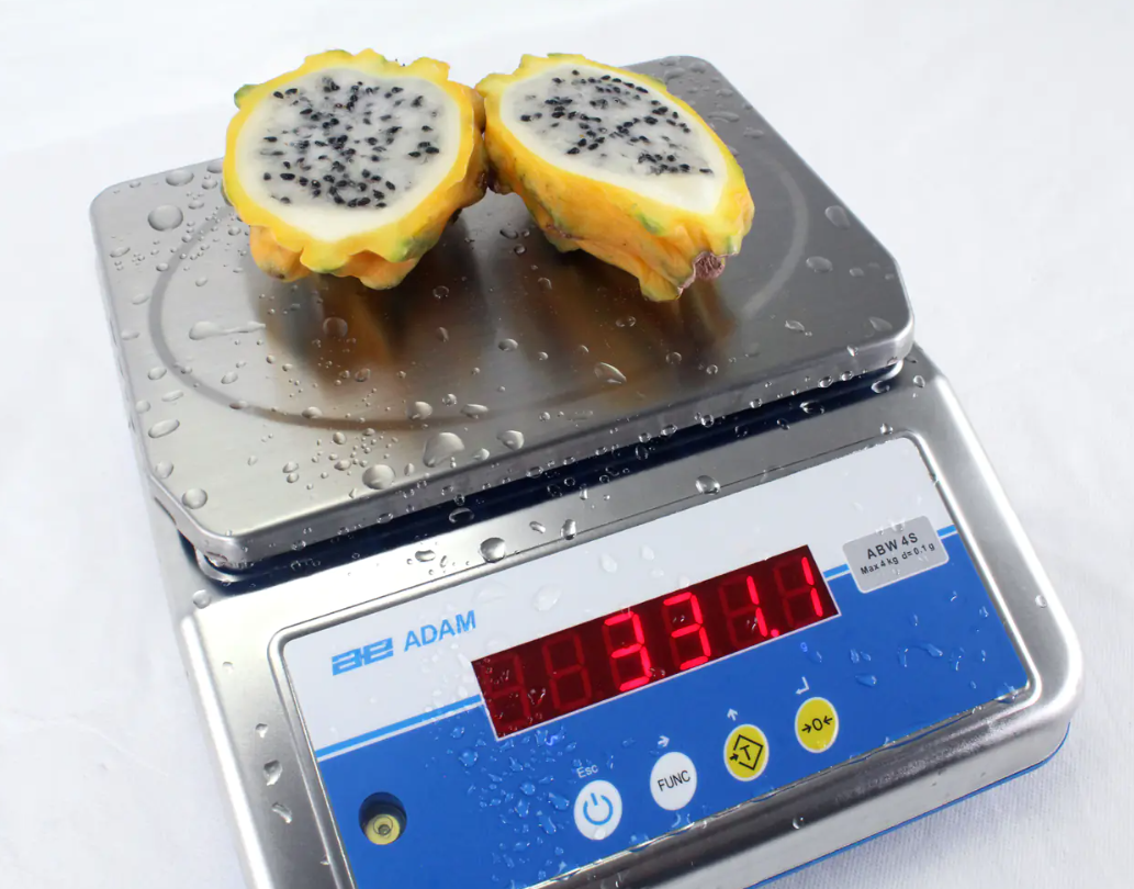 Adam Aqua ABW-S IP68 Bench Scale weighing dragon fruit