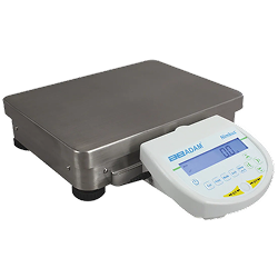 Precision Balances