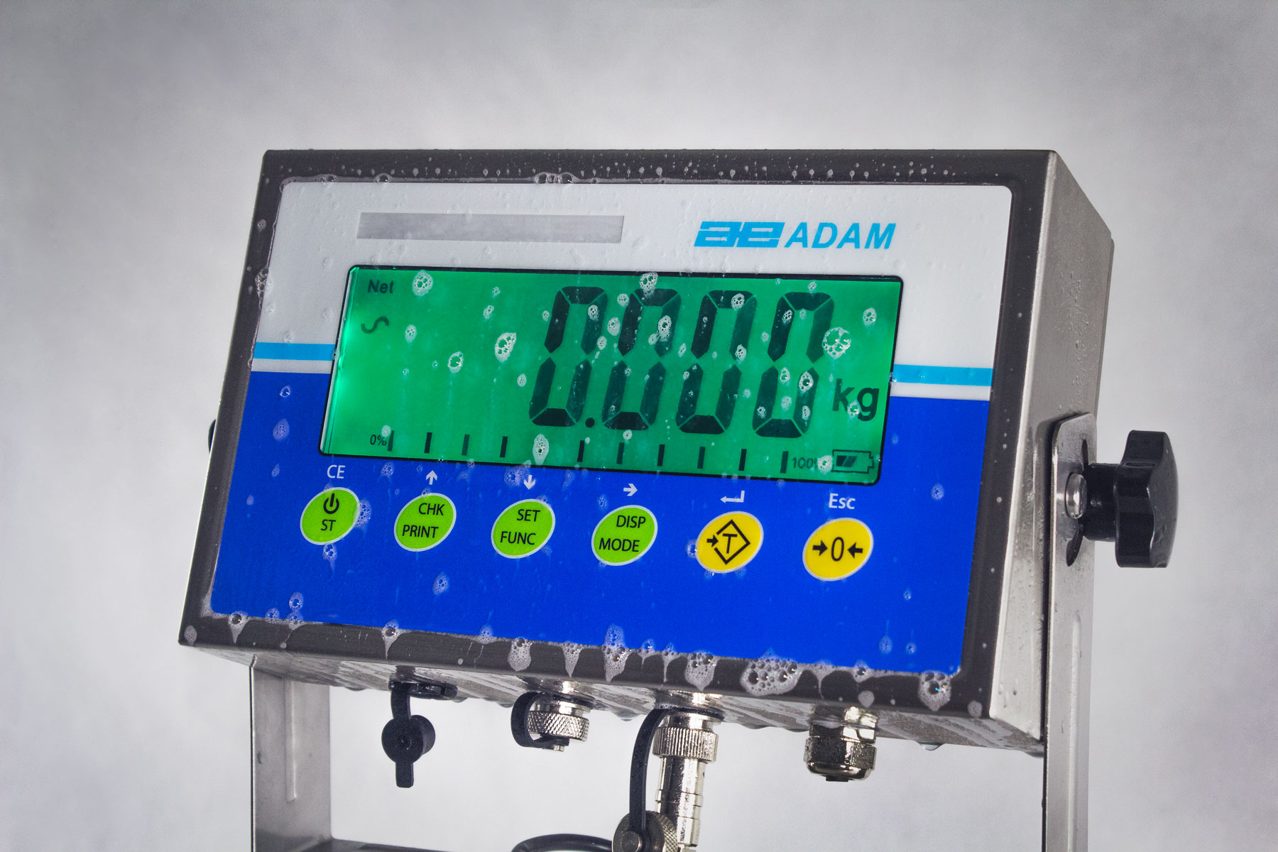 gladiator bench scales