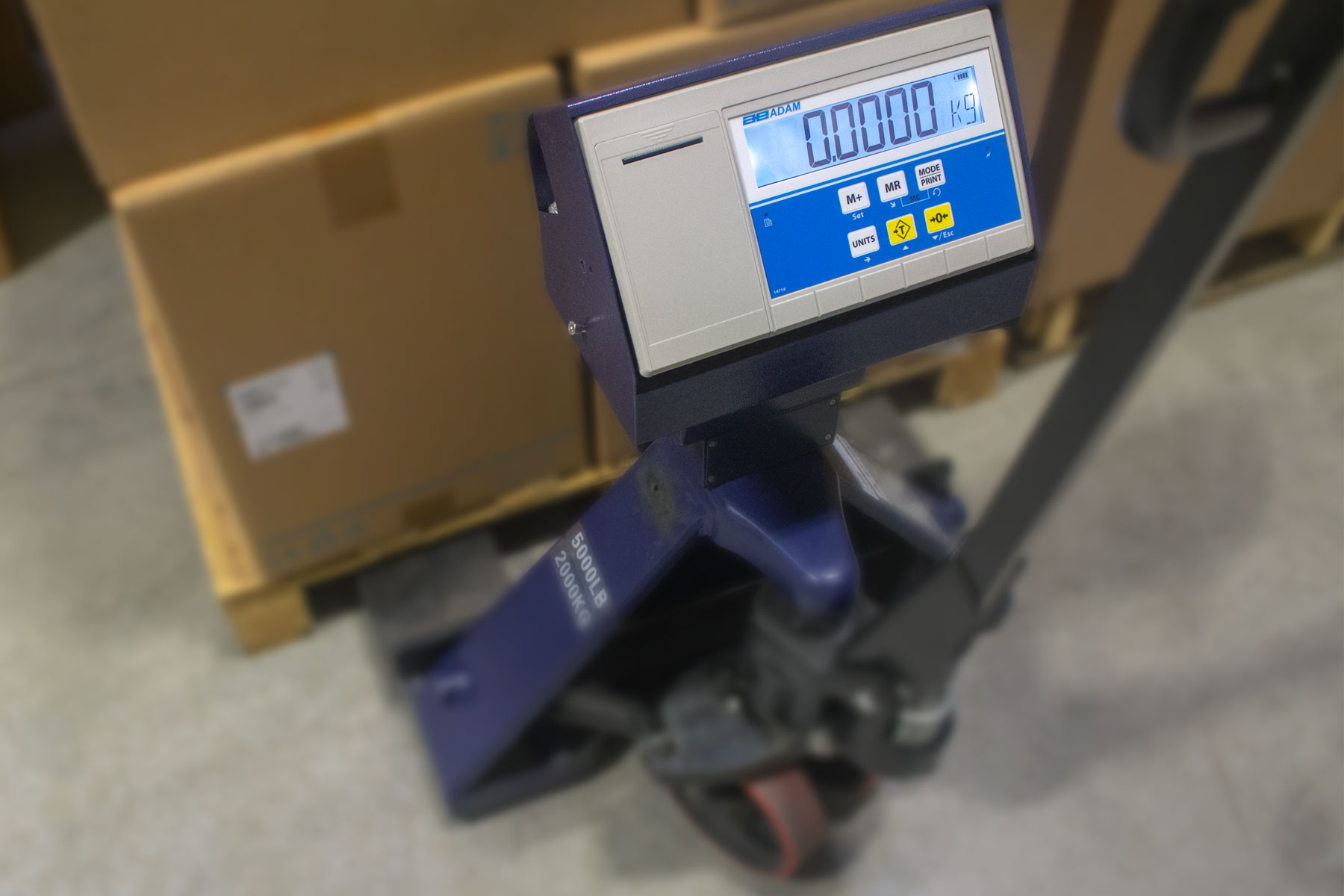 Adam's PTT Pallet Truck Scale weighing a pallet