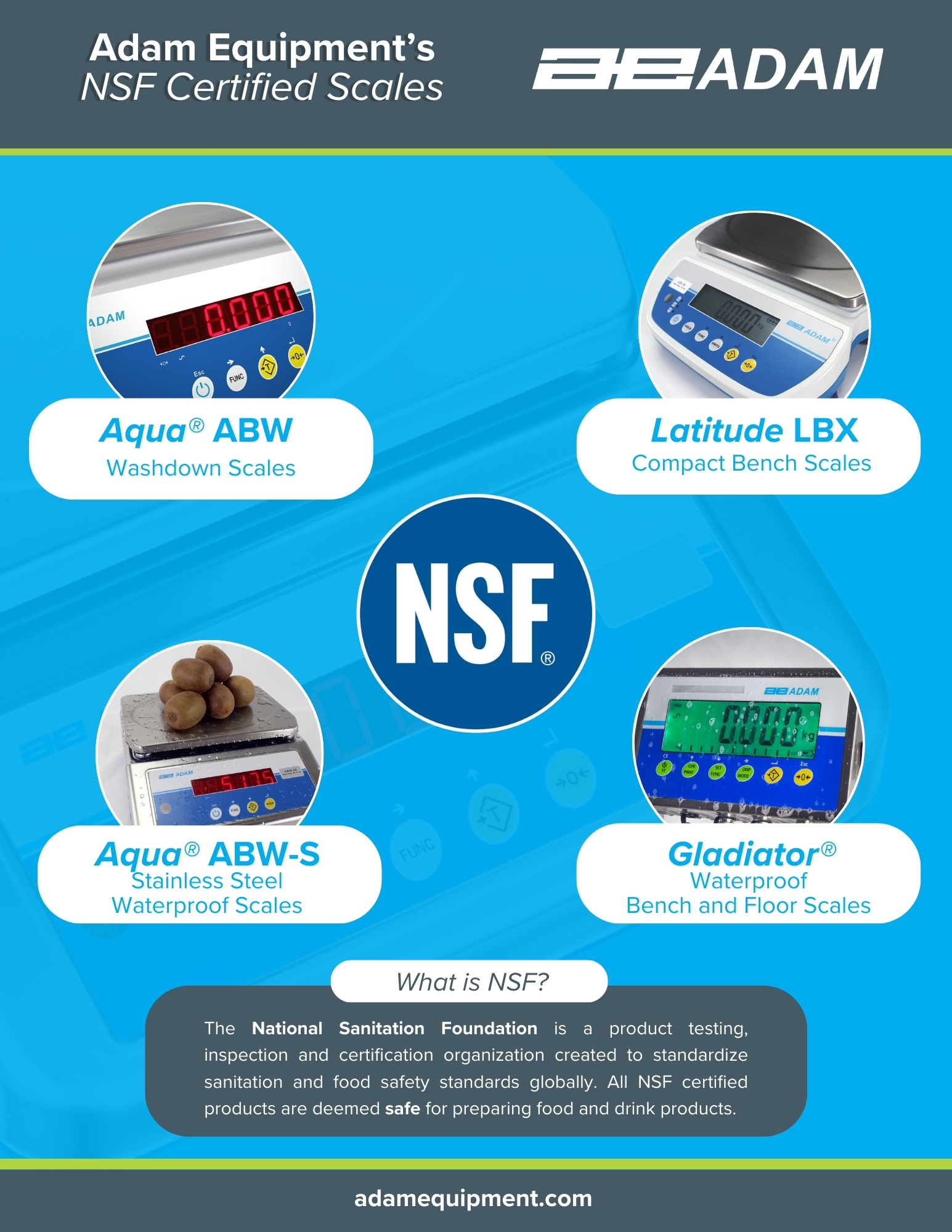 Adam Equipment's NSF Certified Scales