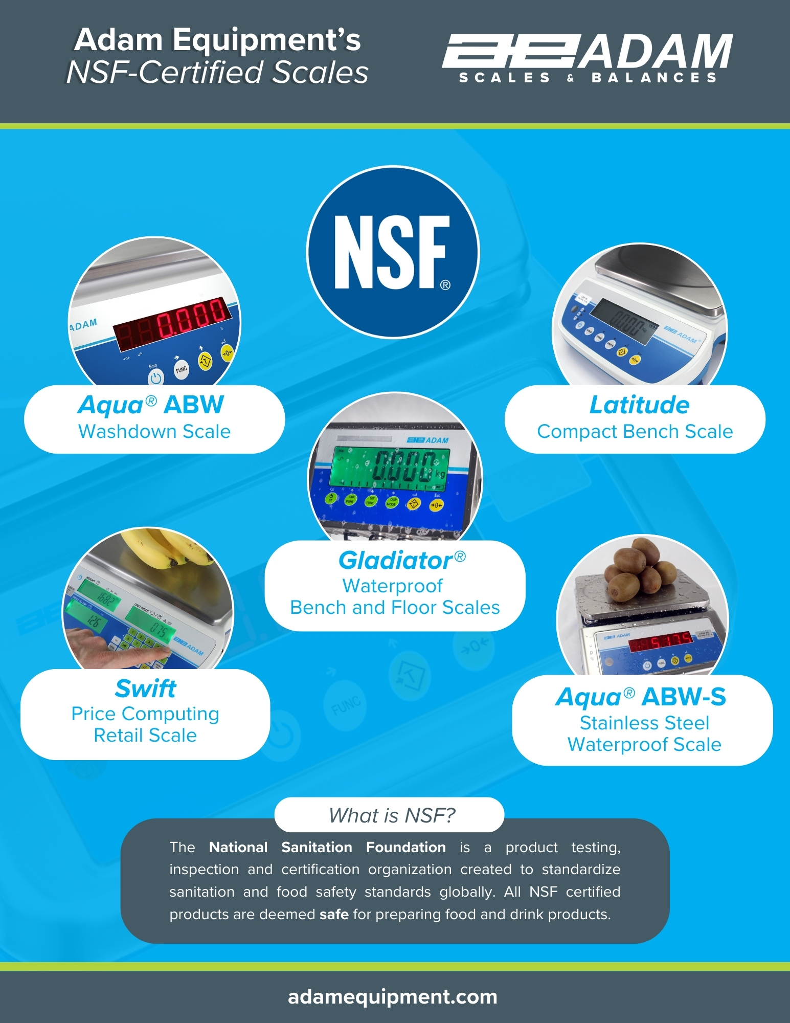 Adam Equipment's NSF Certified Scales