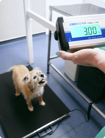 MTB Animal Scale for Weighing Small Pets - Inscale Scales